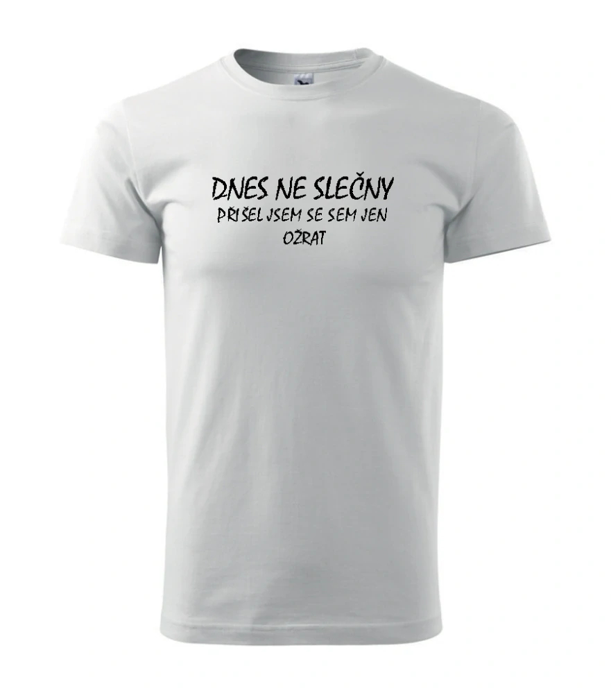 Triko Dnes ne slečny....
