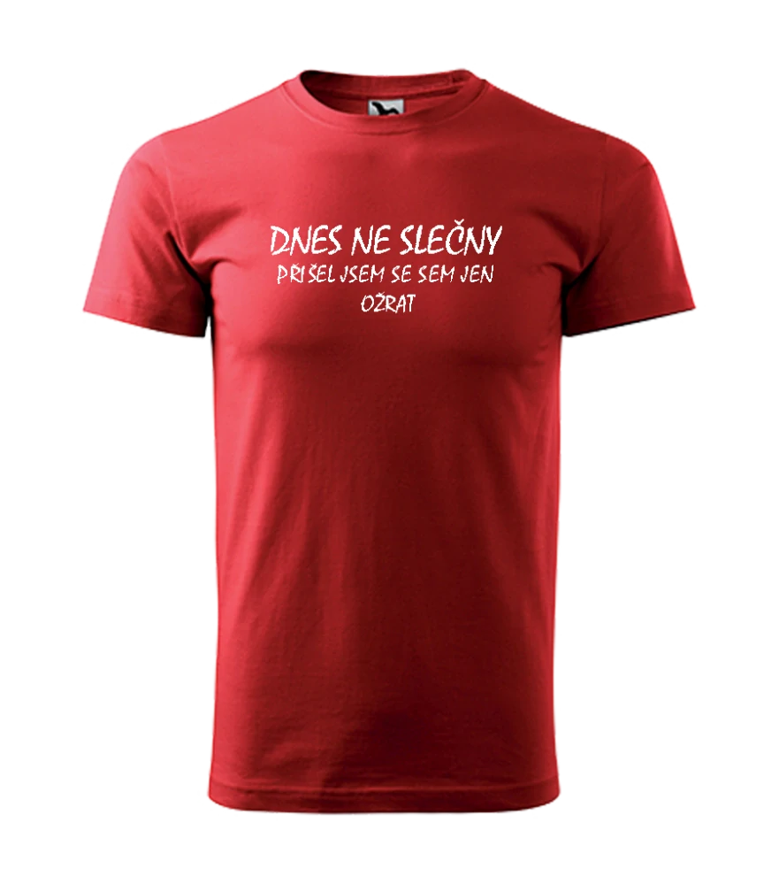 Triko Dnes ne slečny....
