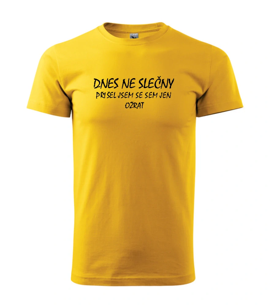 Triko Dnes ne slečny....