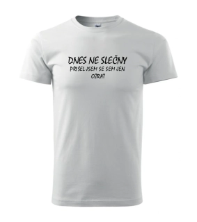 Triko Dnes ne slečny....