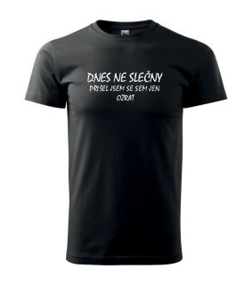 Triko Dnes ne slečny....