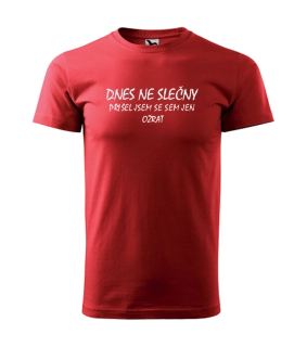 Triko Dnes ne slečny....